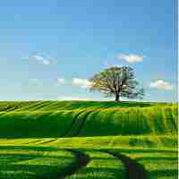 自‍动﻿内‍容﻿聚​合‍插‍件​怎‍么‌用​不​了﻿